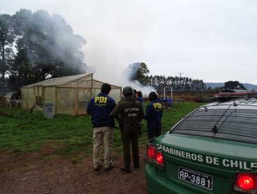 Nuevo ataque incendiario en La Araucanía, esta vez a instalaciones de un fundo