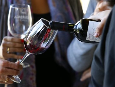 Exportaciones de vino embotellado aumentaron 6,11% en volumen en febrero