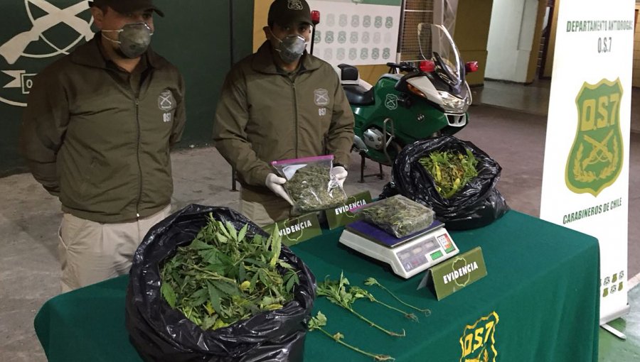 Carabineros detuvo a sujeto con más de 6,7 kilos de marihuana en su domicilio