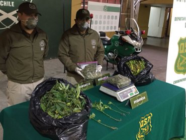 Carabineros detuvo a sujeto con más de 6,7 kilos de marihuana en su domicilio