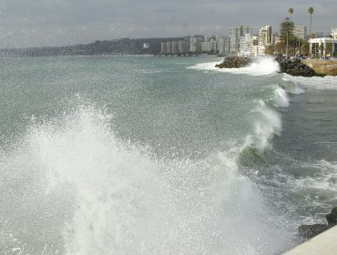 Ingeniero chileno participa en creación de nuevo mapa 3D del mundo submarino