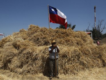 Gobierno entrega apoyo económico a agricultores de Vicuña a través de Indap