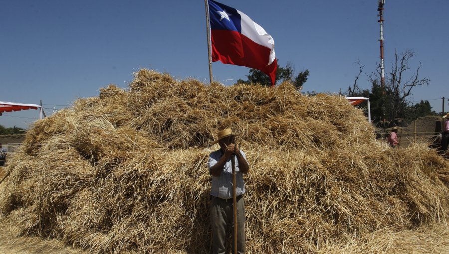 Gobierno entrega apoyo económico a agricultores de Vicuña a través de Indap