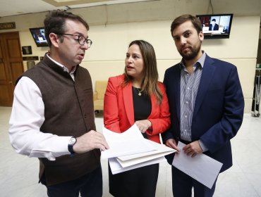 Diputados DC piden urgencia a proyecto para luchar contra violencia machista