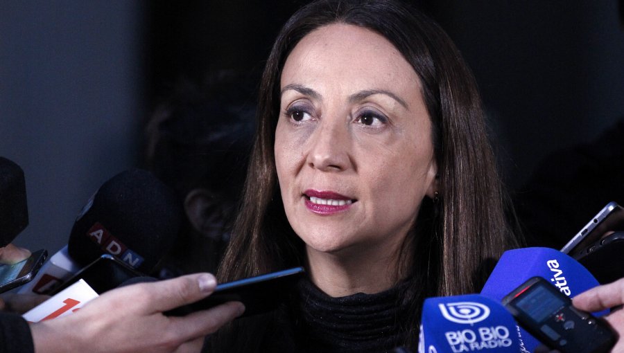 Gobierno por dichos de Chahuán: "Sin duda es un lenguaje que no corresponde"