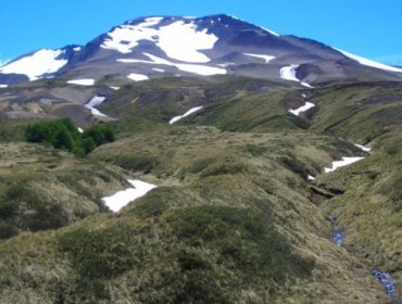 Alerta amarilla por mayor actividad del complejo volcánico Puyehue-Cordón Caulle