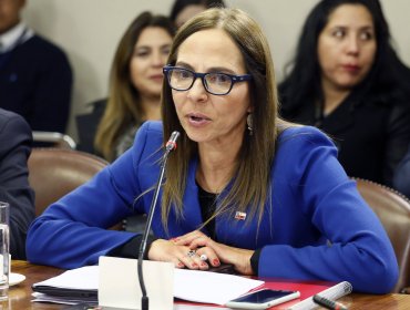 Ministra Isabel Plá anuncia Registro Único de Mujeres Víctimas de Violencia