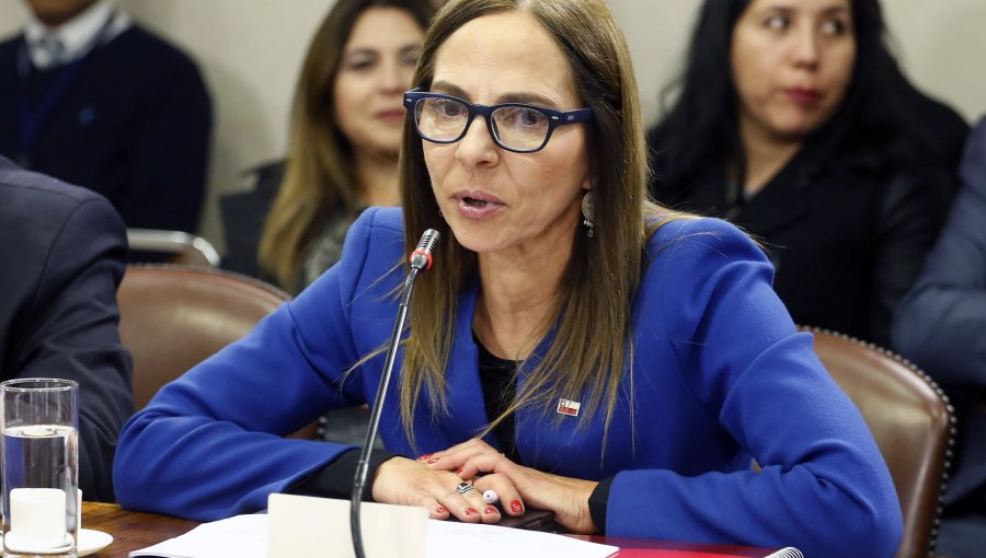 Ministra Isabel Plá anuncia Registro Único de Mujeres Víctimas de Violencia