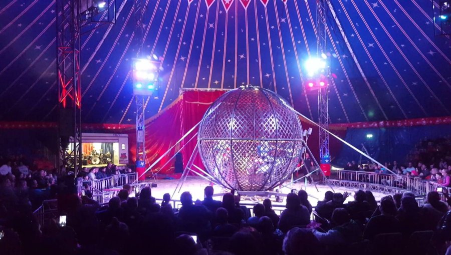 Prohíben funcionamiento del “cañón del hombre bala” del American Circus