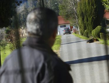 Religiosos católicos en Chile acumulan 113 denuncias por abuso sexual en los últimos 15 años