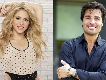 Chayanne y Shakira en capeta para Viña 2019: Se define la parrilla del próximo festival