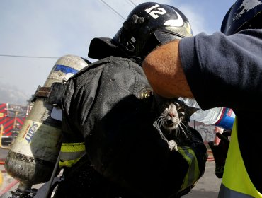 Hombre de 75 muere en fatal Incendio en Las Condes