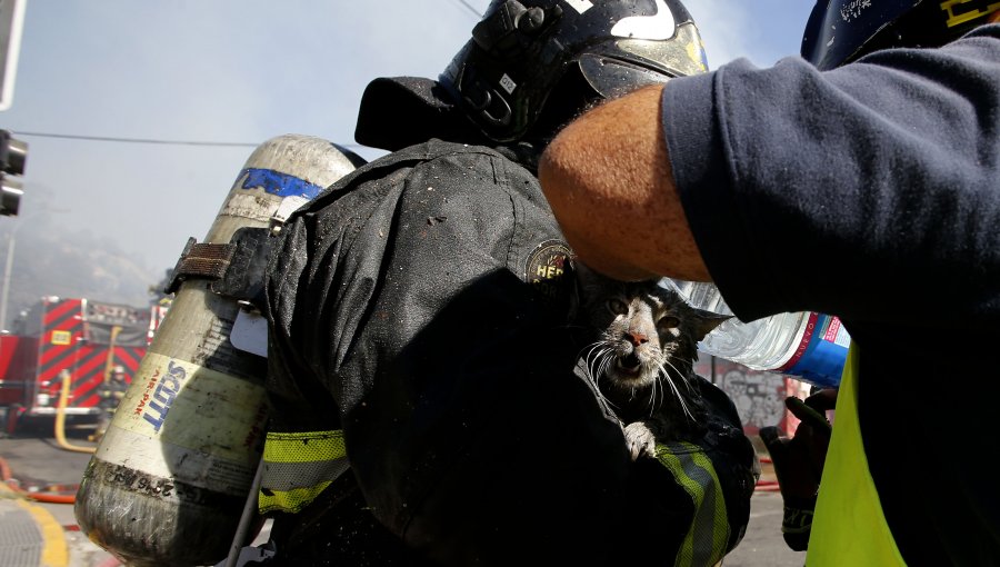 Hombre de 75 muere en fatal Incendio en Las Condes