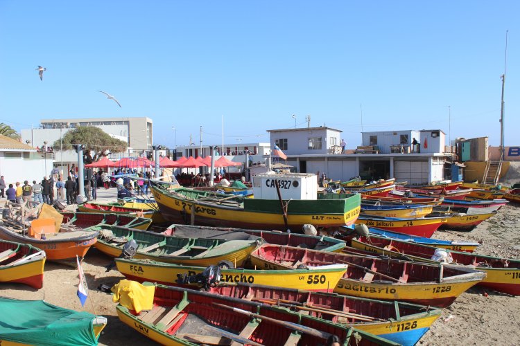 Tres pescadores son hallados sin vida y flotando en el mar en Los Vilos