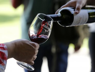 SAG: Producción de vino en Chile aumentó 35,9% en 2018