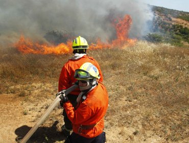 Decretan alerta roja por incendio forestal en San Juan de Pirque