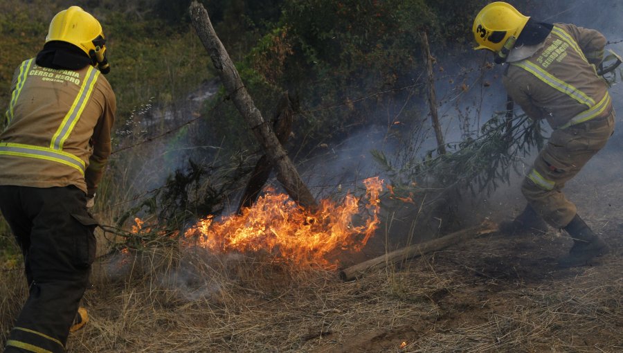 Activo se mantiene incendio forestal en Pirque y sigue alerta roja en la comuna