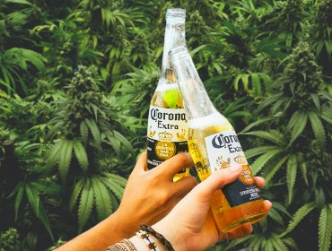 Dueños de Cerveza Corona realizan millonaria inversión en empresa que produce "marihuana"