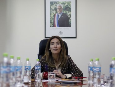 Denuncian a Ministra Schmidt por presuntos conflictos de interés con Oxiquim