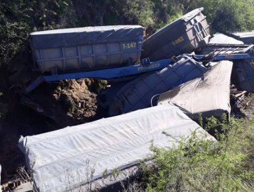 Tren con concentrado de Cobre descarriló en sector rural de Quillota y provoca derrame