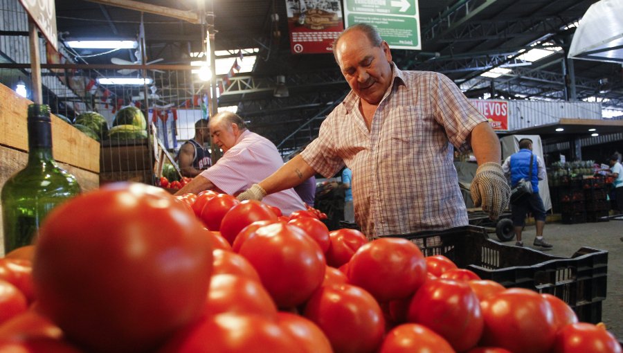 IPC de 0,2% en agosto: Tomates y cuentas de la luz fueron las mayores alzas