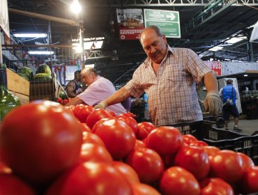 IPC de 0,2% en agosto: Tomates y cuentas de la luz fueron las mayores alzas