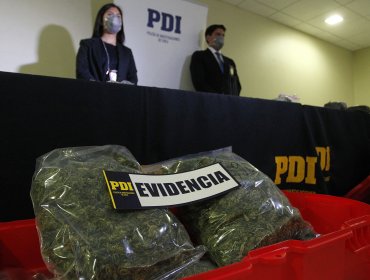 "Ingenioso" traficante viajaba a Isla de Pascua con "marihuana" en sus zapatillas