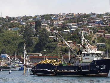 Marine Harvest asegura haber recapturado el 27,23% de salmones fugados