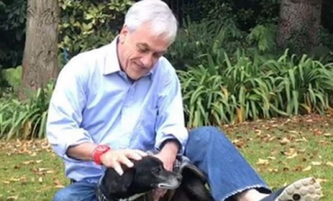 Presidente Piñera muestra su tristeza ante la muerte de la mascota "Cholito"
