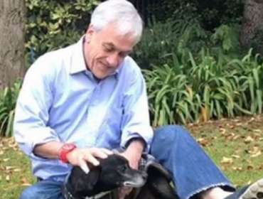 Presidente Piñera muestra su tristeza ante la muerte de la mascota "Cholito"