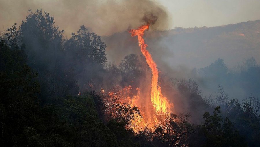 Riesgo de Incendios Forestales: Onemi decreta Alerta Temprana Preventiva en Región de Valparaíso