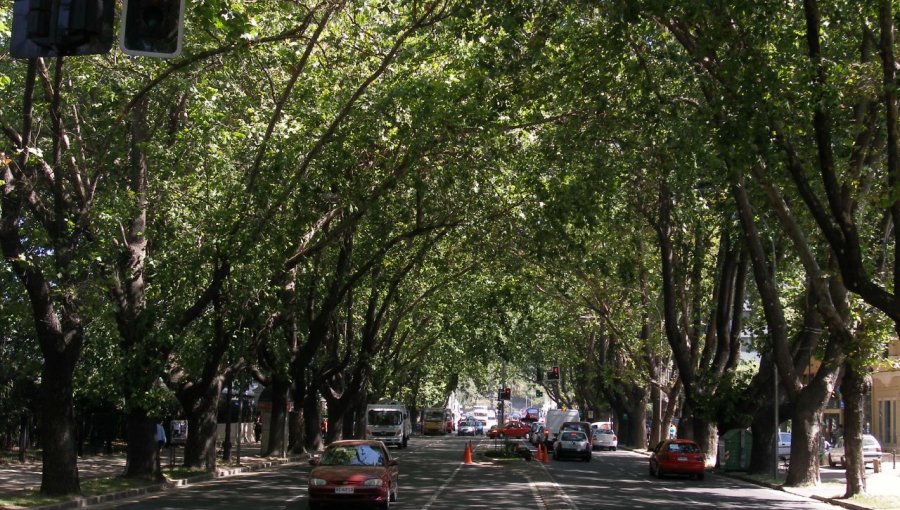 Tres lesionados en accidente en Av Libertad de Viña del Mar