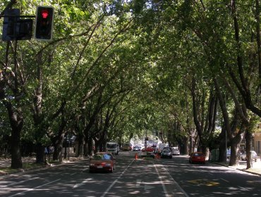 Tres lesionados en accidente en Av Libertad de Viña del Mar