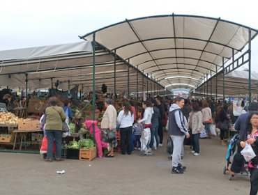 Feria Caupolicán de Gomez Carreño finalmente cuenta en su totalidad con regularización de terrenos