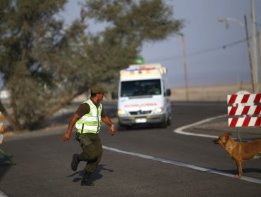 Conductor grave luego de volcar camión minero en Petorca