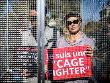 Pamela Anderson se encierra en jaula para protestar por el sufrimiento de los animales de granja