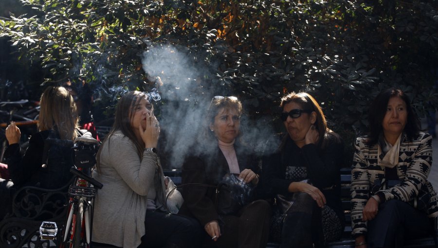 Concejo de Las Condes aprobó ordenanza que prohíbe fumar en plazas y parques