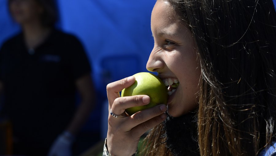 Aumento de obesidad en Chile preocupa a los expertos: Casi 40% de adultos con sobrepeso