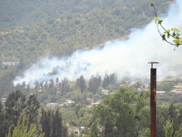 Incendio Forestal en Limache moviliza a Bomberos y Conaf