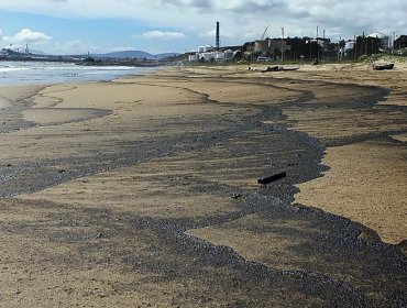 Capitanía de Puerto investiga nuevo varamiento de carbón en Ventanas