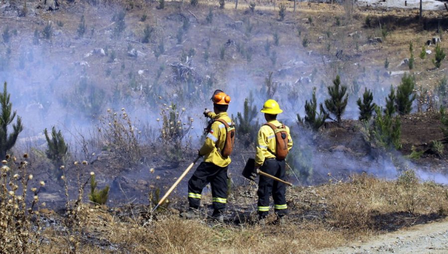 Expertos latinoamericanos se reunieron en Viña del Mar para fortalecer coordinación en incendios forestales