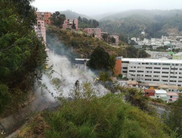 Choque de vehiculo desploma poste del tendido eléctrico generando incendio en Quilpué