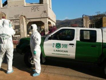 Delincuentes asaltan a mano armada una céntrica empresa en Valparaíso