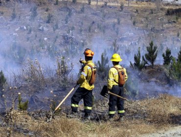 Expertos latinoamericanos se reunieron en Viña del Mar para fortalecer coordinación en incendios forestales