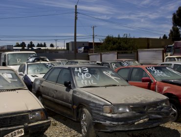 Municipio de Valparaíso remató 48 autos del parqueadero municipal