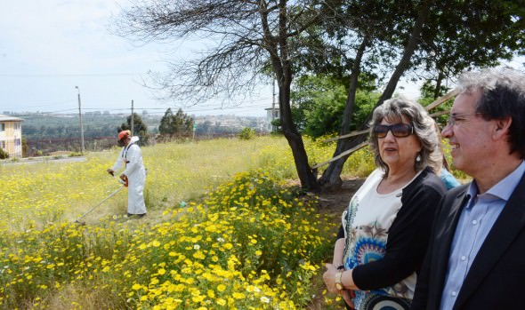 Municipio de Viña del Mar refuerza Programa de Prevención de Incendios ante ola de calor