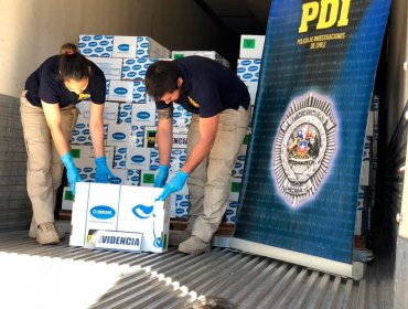 PDI de Los Andes recupera camión cargado con miles de kilos de carne que había sido robado