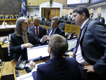 Presupuesto: Partida de Medio Ambiente quedó pendiente por crisis de Quintero