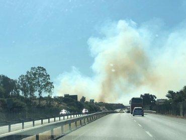 Incendio forestal que se registra en Quilpué moviliza a Conaf y Bomberos de la zona