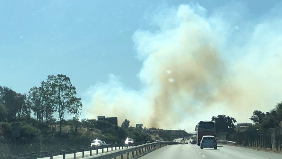 Incendio forestal que se registra en Quilpué moviliza a Conaf y Bomberos de la zona